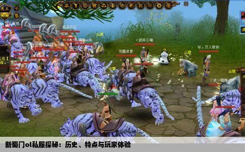 新蜀门ol私服探秘：历史、特点与玩家体验